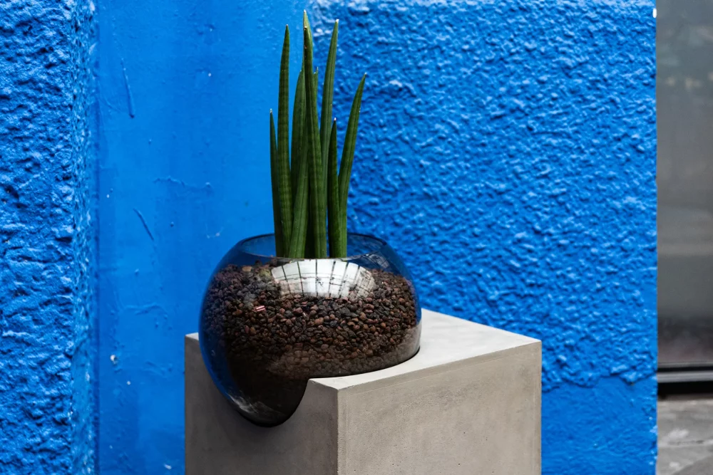 This hybrid and unique furniture by Bertrand Jayr for Lyon Concrete, combining a concrete pedestal table and a glass globe, gives free rein to your imagination.